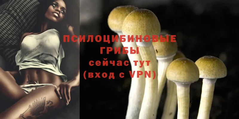 Галлюциногенные грибы MAGIC MUSHROOMS  Семилуки 